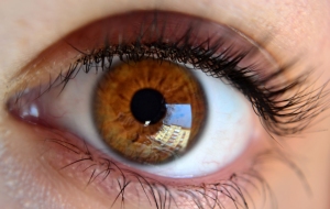 eyes1.jpg