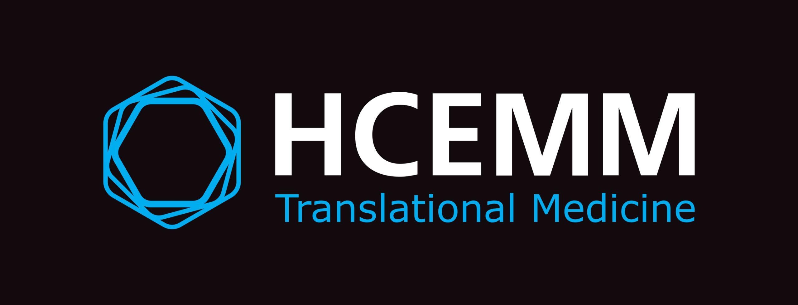 A képhez tartozó alt jellemző üres; HCEMM_Logo_Slogan_TM_CMYK_page-0001-scaled.jpg a fájlnév