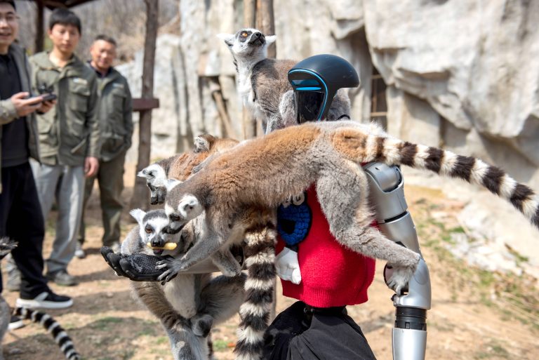 Merre robogtok, etorobotok?